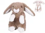 Plush toy - 04095 - BUNNY - size 20 cm