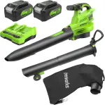 &bdquo;Greenworks&ldquo; 2x24 V pūstuvas/siurblys &bdquo;Greenworks&ldquo; BL48L421-01 rinkinys