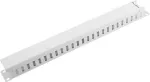 Lanberg Cable Organizer 19''1U pilka