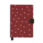 Curated - Infinity Planner