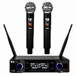 DNA DVS2 Wireless Microphone PA System