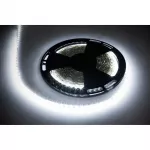 Rebel LED juosta, 25 m, 12 V, 6500 K, &scaron;altai balta