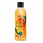 BARWA_Natural Mango maitinamasis plaukų &scaron;ampūnas 300ml
