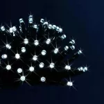 14071920 48 LED 3.5m