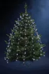 14185577 170 LED 1.65m