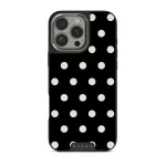 Point Taken - iPhone 16 Pro Case, Elite Dark (MagSafe) / Silver