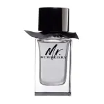 Burberry Mr. Burberry Eau De Toilette - testas 100 ml (vyras)