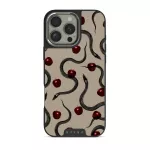 Sinful - iPhone 16 Pro Case, Elite Dark (MagSafe) / Silver