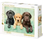 Dėlionė Clementoni High Quality Collection Three Labs, 1000 dalių