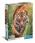 CLE puzzle 1000 Compact The Hunters Path 37108