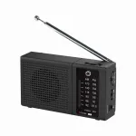 Manta MARDI120BK COSTA Portable FM/AM Radio with Built-in Rechargeable Battery, Black