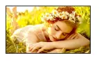 Monitor wielkoformatowy 65UL5Q-M 500cd/m2 UHD 24/7