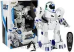 Interactive remote controlled robot