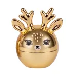 SUNEWMED_&bdquo;Dear Kiss Gold&ldquo; lūpų balzamas su apelsinų aromatu ir jūros druska, 8 g