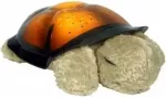 Debesis B Rudasis vėžlys