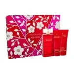 Elizabeth Arden Red Door SET EDT 100 ml + body lotion Red Door 100 ml + shower gel Red Door 100 ml, 100ml