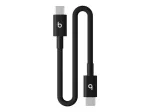 APPLE Beats USB C TO C CABLE 20cm Black