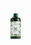 The Body Shop - Kondicionierius nuo pleiskanų Ginger (Conditioner) - 250 ml