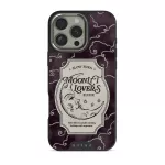 Moonlit Lovers - iPhone 16 Pro Case, Elite Dark (MagSafe) / Silver
