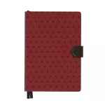 Red Velvet - Infinity Planner