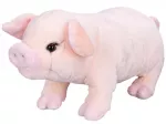 Plush toy - 01513 - PIGGY - size 33 cm
