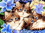 Diamond mosaic - Three cats