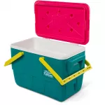 &Scaron;aldytuvas &bdquo;IGLOO Retro Picnic Basket 25&ldquo; (23 litrai) vieno dydžio
