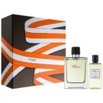 Rinkinys vyrams Hermes Terre D&acute;Hermes EDT 100 ml + du&scaron;o želė 80 ml