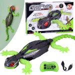 Remote Control Gecko Lizard &ndash; Drives on the Floor and Climbs Walls RC0753