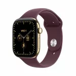 I&scaron;manusis laikrodis Apple Watch Series 12 GPS + Cellular 42mm Radiant Gold Titanium Case with Burgundy Sport Band - S/M MJGJ4ET/A