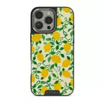 Capri - iPhone 16 Pro Max Case, Elite Dark (MagSafe) / Silver