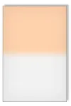 Kameros Filtras - Lee Filters Coral 6 Grad Hard 100 &times; 150 mm 2 mm Rožinis Koralinis
