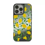 Capri - iPhone 16 Pro Max Case, Elite Mirror Dark (MagSafe) / Silver