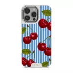 Sweet Moment - iPhone 16 Pro Max Case, Elite Light (MagSafe) / Silver