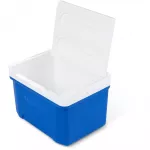 &Scaron;aldytuvas &bdquo;IGLOO Cool 9&ldquo; (8 litrai) vieno dydžio