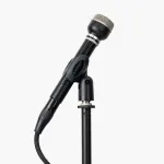 Warm Audio WA-19 Black - Dynamic Microphone