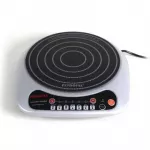 2000 Induction Cooker