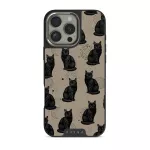Salem - iPhone 16 Pro Max Case, Elite Dark (MagSafe) / Silver
