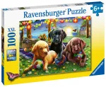 RAV puzzle Psy 100 el 128860
