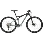 Dviratis 29" Bulls Wild Edge carbon/h-grau 54cm/XL