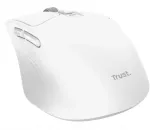 Trust Niven, Right-hand, RF Wireless + Bluetooth, 3200 DPI, White