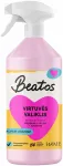 Valiklis virtuvės valymui Beatos, 0.850 l