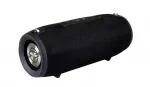 Kolonėlė Manta SPK15GO BT Black