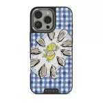 Today's Special - iPhone 16 Pro Case, Elite Dark (MagSafe) / Silver