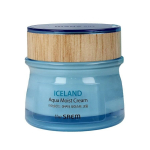 The SAEM - Iceland Aqua Moist Cream Veido kremai 60 ml female