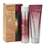 JOICO - Defy Damage Holiday Double The Joy Plaukų priežiūros rinkiniai 1 pieces female