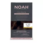 Noah - 4.36 Color In Oil Chestnut Plaukų dažai 135 ml unisex