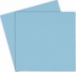 Thermal Grizzly Minus Pad Pro 100 x 100 x 1,0 mm kompiuterio au&scaron;intuvas