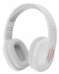 XO BE39 White ausinės