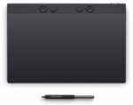 WACOM Intuos PRO Pen L Grafikos plan&scaron;etė